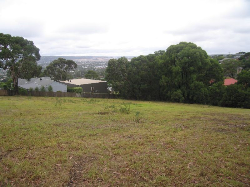 14 Jackson Way, Dromana VIC 3936