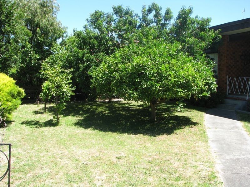 14 Rosalie Avenue, Dromana VIC 3936