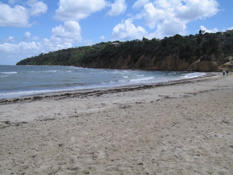 Boat Shed/17 Safety Beach Foreshore, Safety Beach VIC 3936