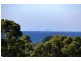 17 Iris Street, Dromana VIC 3936