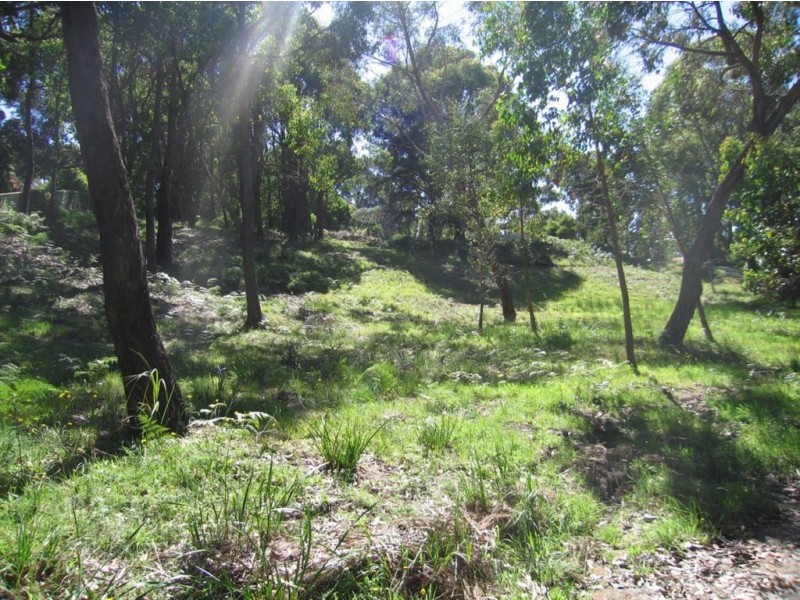 36 Pindara Road, Arthurs Seat VIC 3936