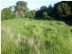 33 Scenic Road, Cape Paterson VIC 3995