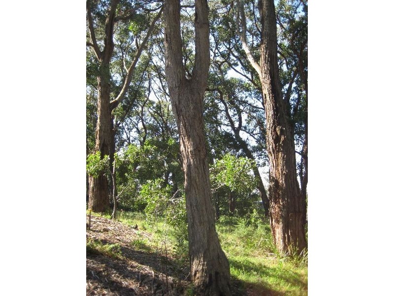 2 Steane Avenue, Arthurs Seat VIC 3936