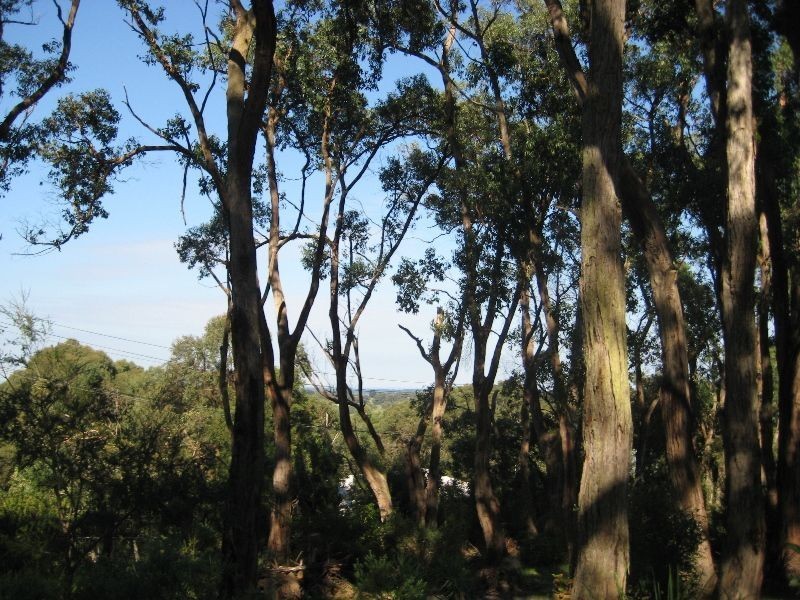 2 Steane Avenue, Arthurs Seat VIC 3936