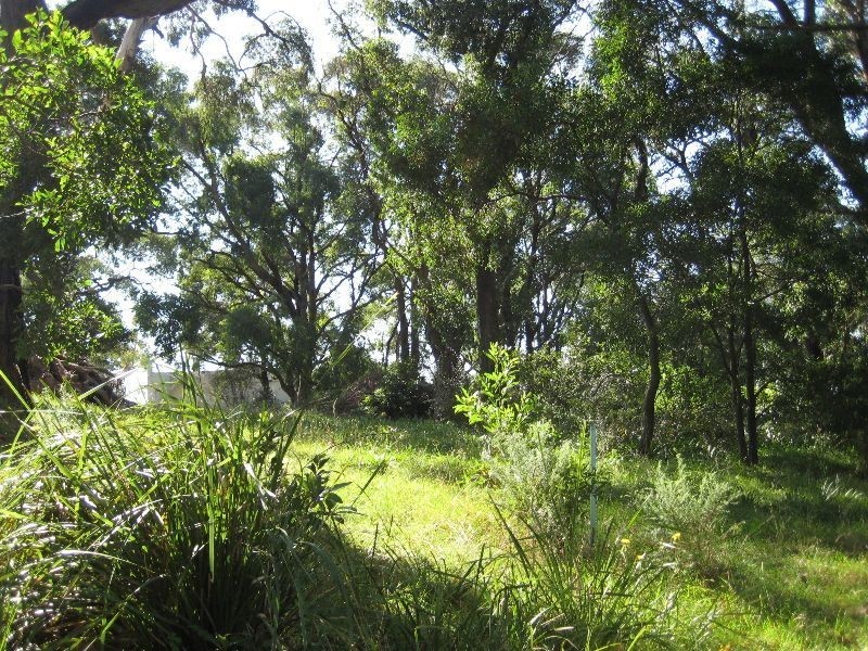 2 Steane Avenue, Arthurs Seat VIC 3936