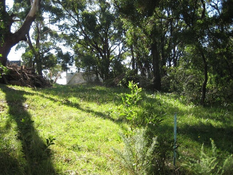 2 Steane Ave, Arthurs Seat VIC 3936