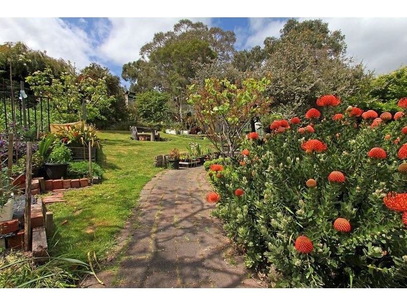 15 Austin Avenue, Mccrae VIC 3938