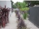 1B Davies St, Dromana VIC 3936