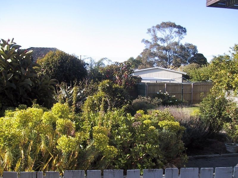 16 Charmaine Street, Dromana VIC 3936