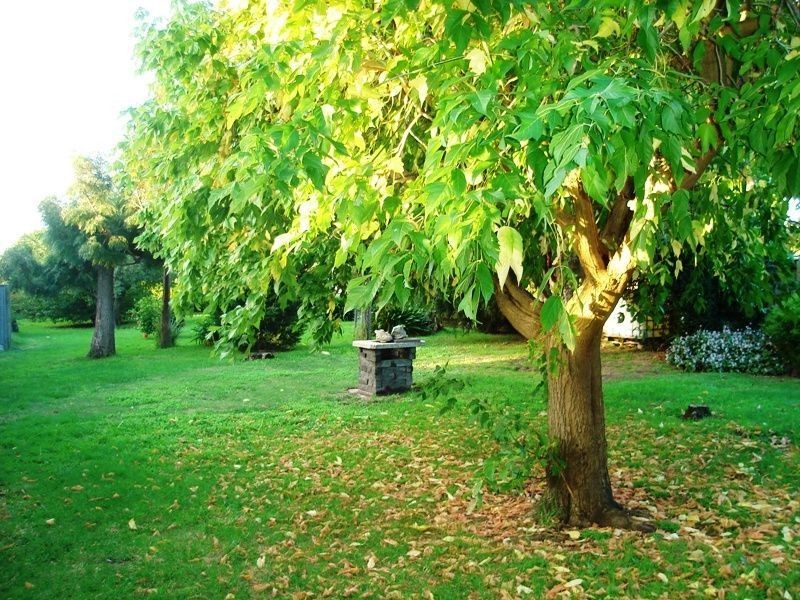 29 Ruth Road, Mornington VIC 3931