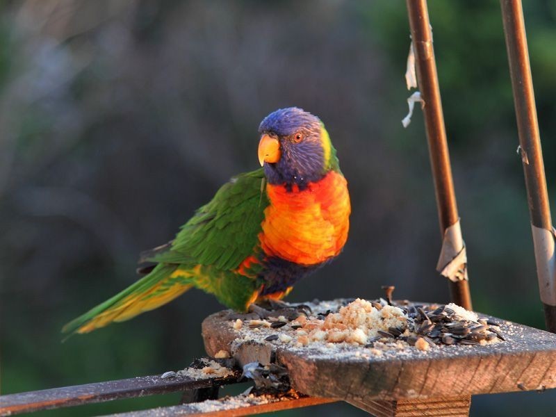 218 Marine Drive, Mount Martha VIC 3934