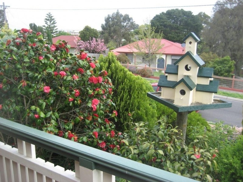 31 Robertson Street, Morwell VIC 3840