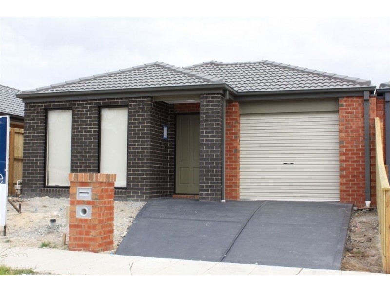 35 Rankin Close, Lynbrook VIC 3975
