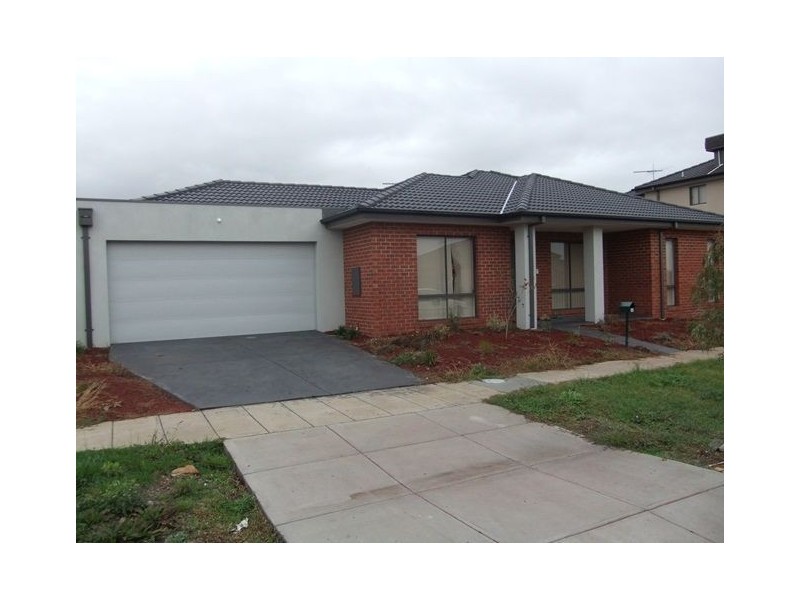46 Hal Porter Terrace, Lynbrook VIC 3975