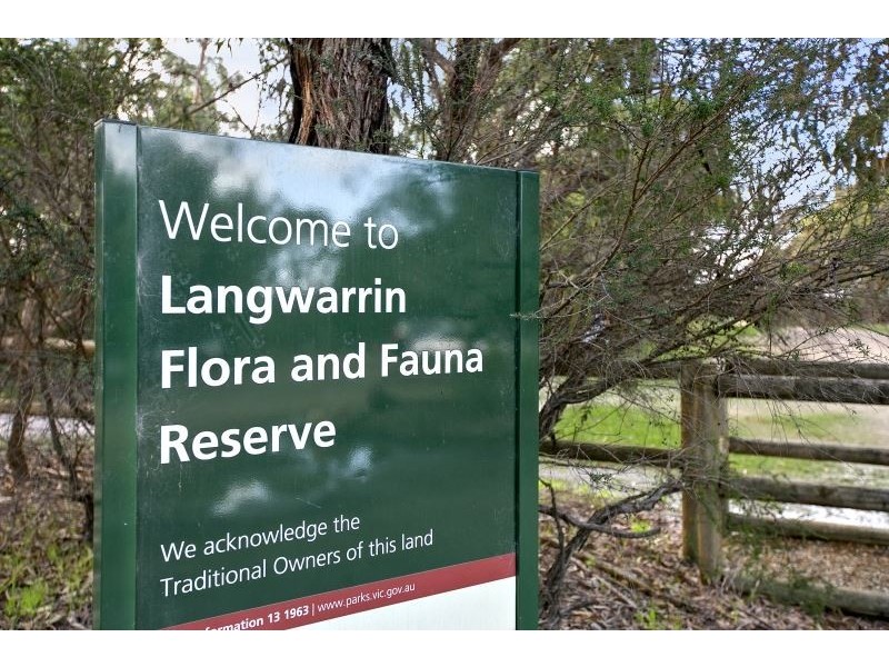 565 McClelland Drive, Langwarrin VIC 3910
