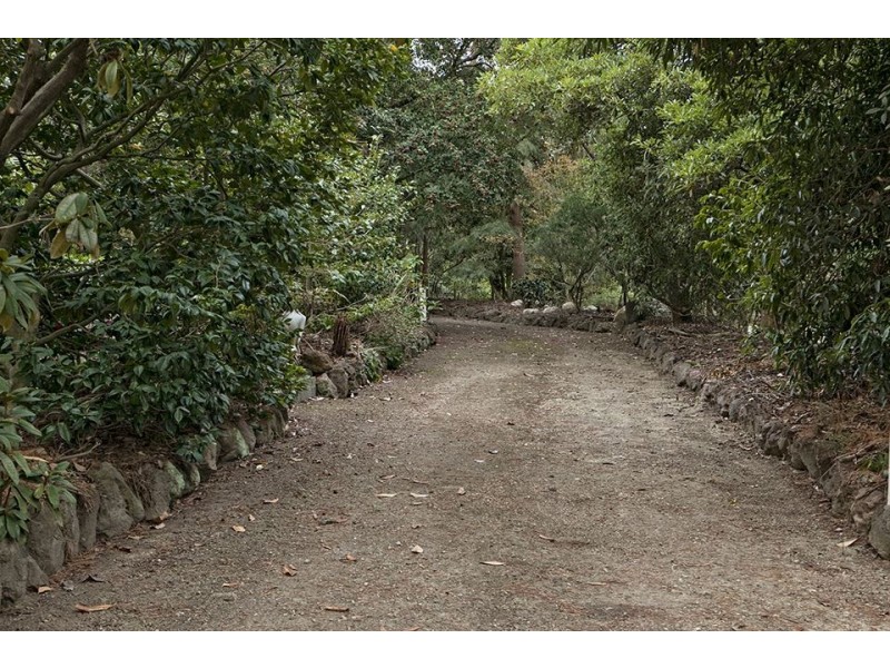 440 Warrandyte Road, Langwarrin South VIC 3911