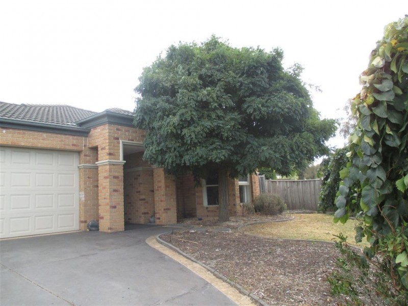 13 King Orchid Drive, Langwarrin VIC 3910