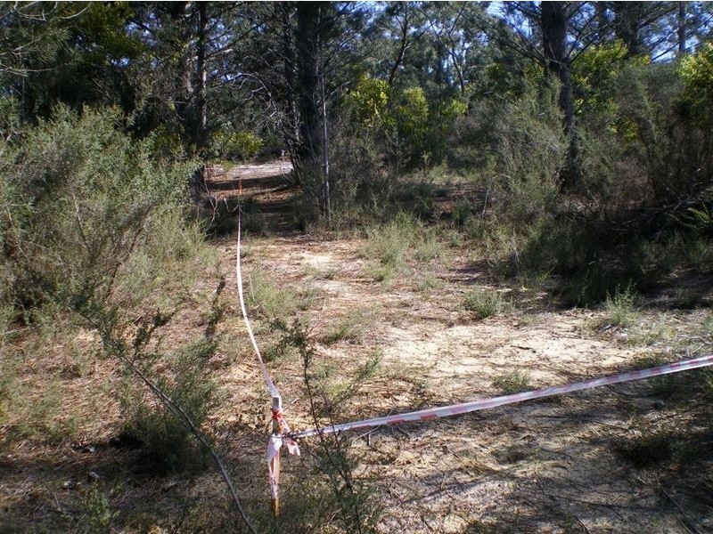 100 Donald Road, Langwarrin VIC 3910