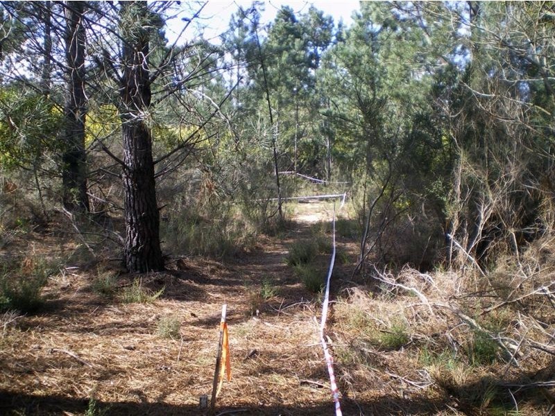 100 Donald Road, Langwarrin VIC 3910