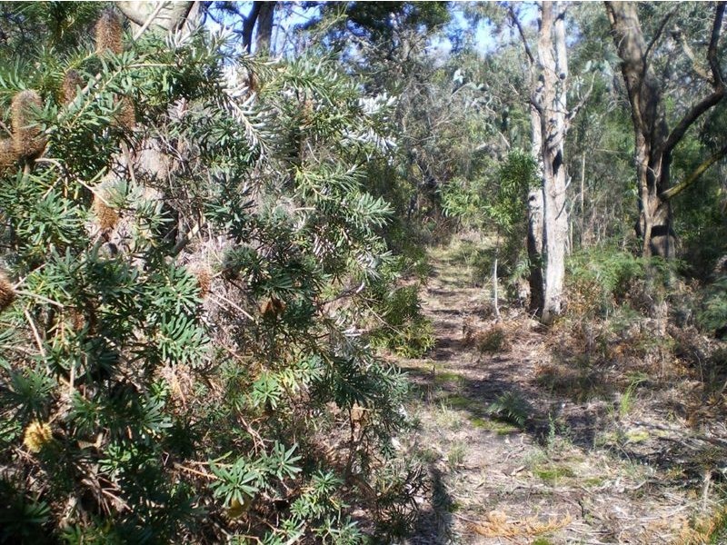 100 Donald Road, Langwarrin VIC 3910