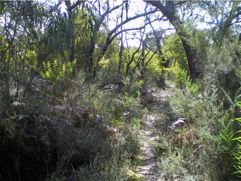 100 Donald Road, Langwarrin VIC 3910