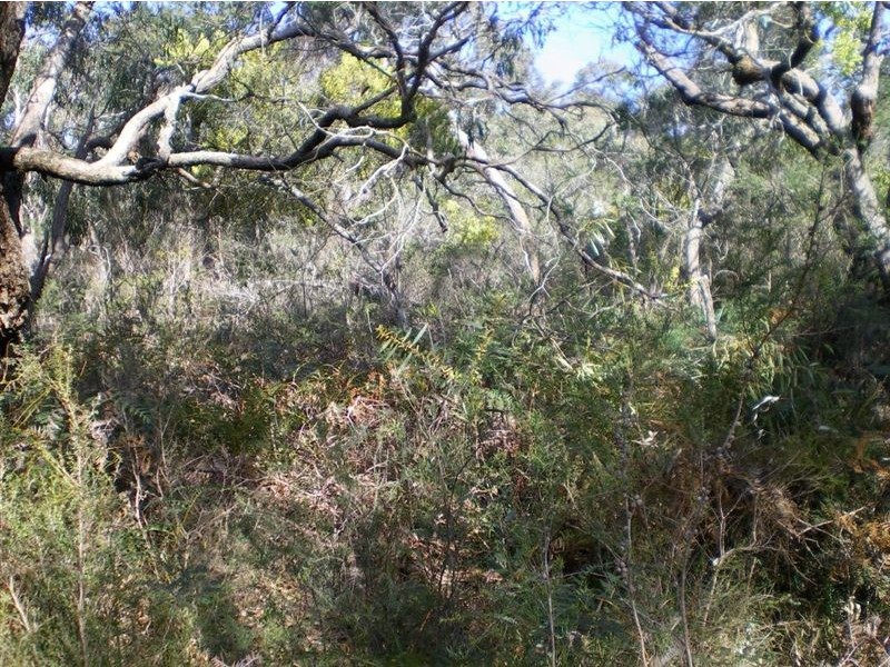 100 Donald Road, Langwarrin VIC 3910