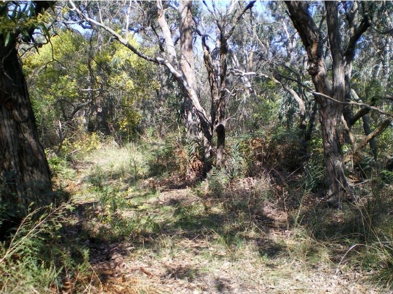 100 Donald Road, Langwarrin VIC 3910