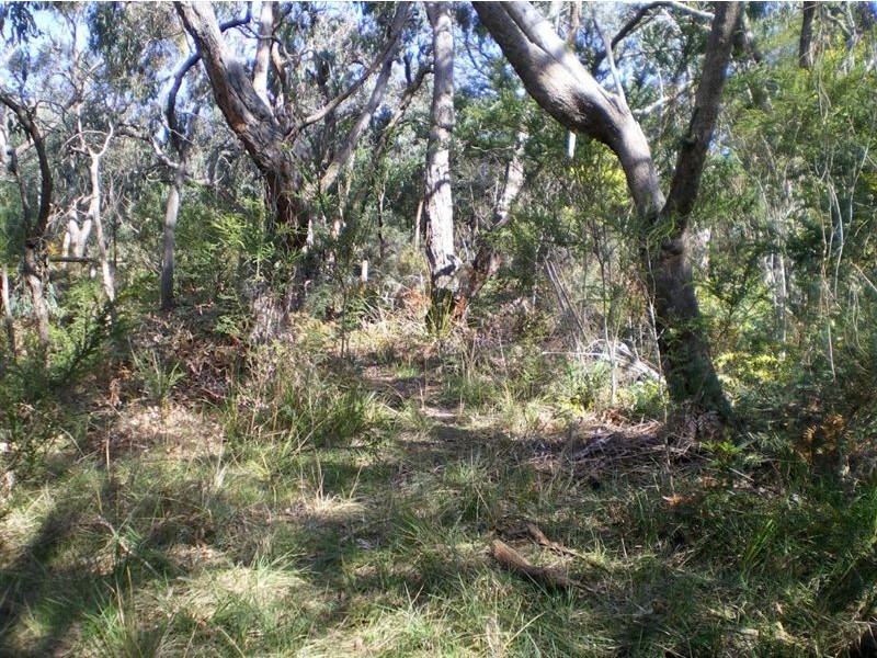 100 Donald Road, Langwarrin VIC 3910