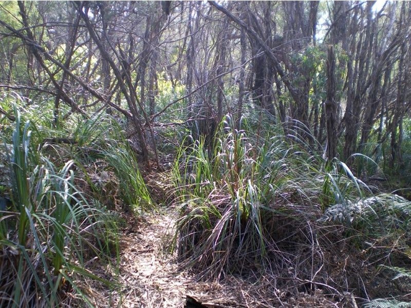 100 Donald Road, Langwarrin VIC 3910