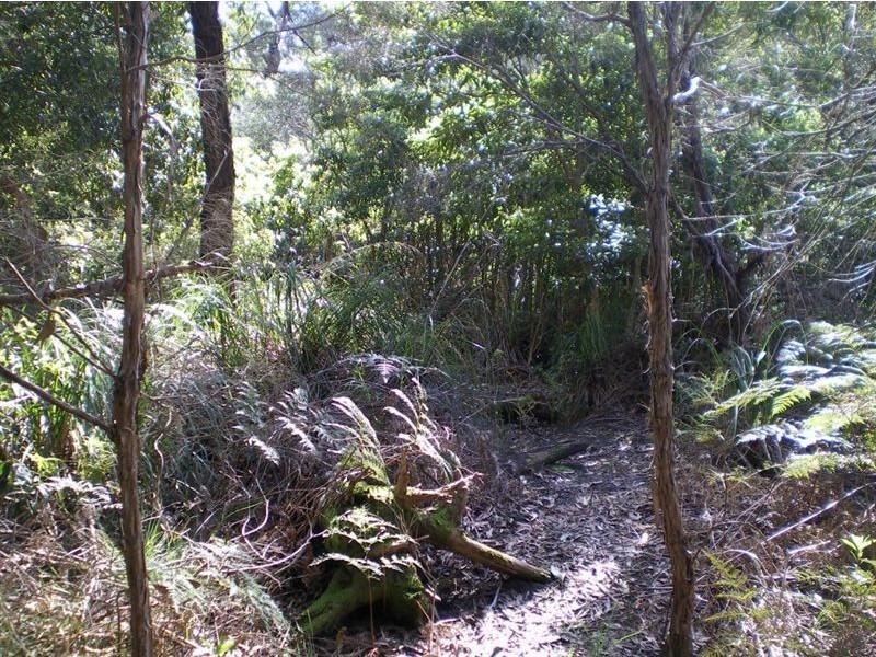 100 Donald Road, Langwarrin VIC 3910