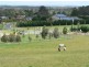6 Garden Brae Court, Langwarrin VIC 3910