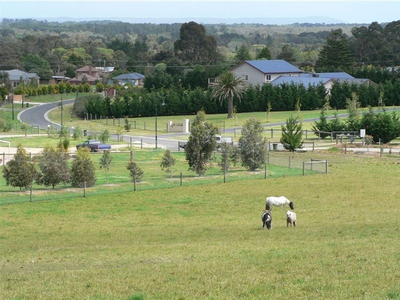 6 Garden Brae Court, Langwarrin VIC 3910