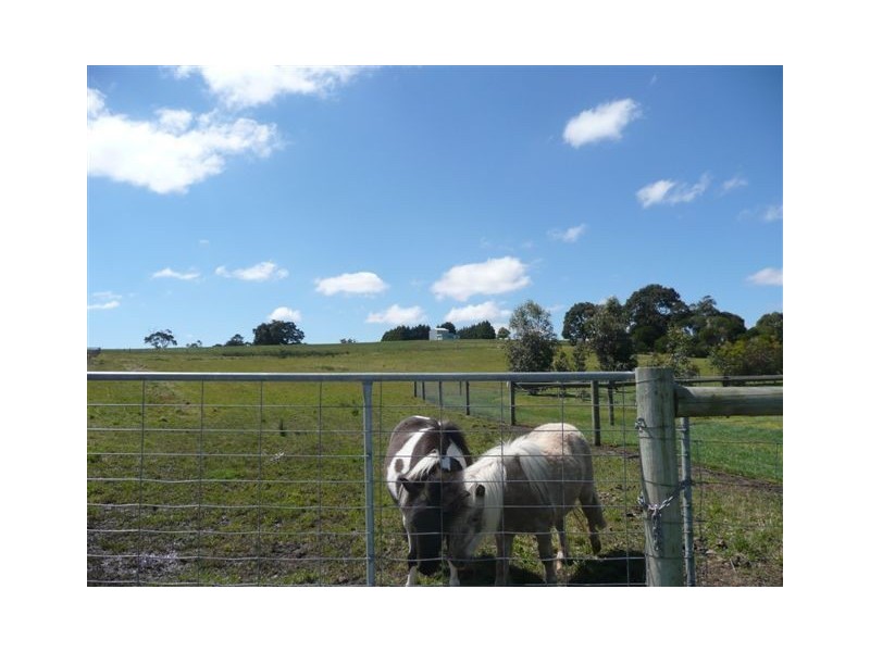6 Garden Brae Court, Langwarrin VIC 3910
