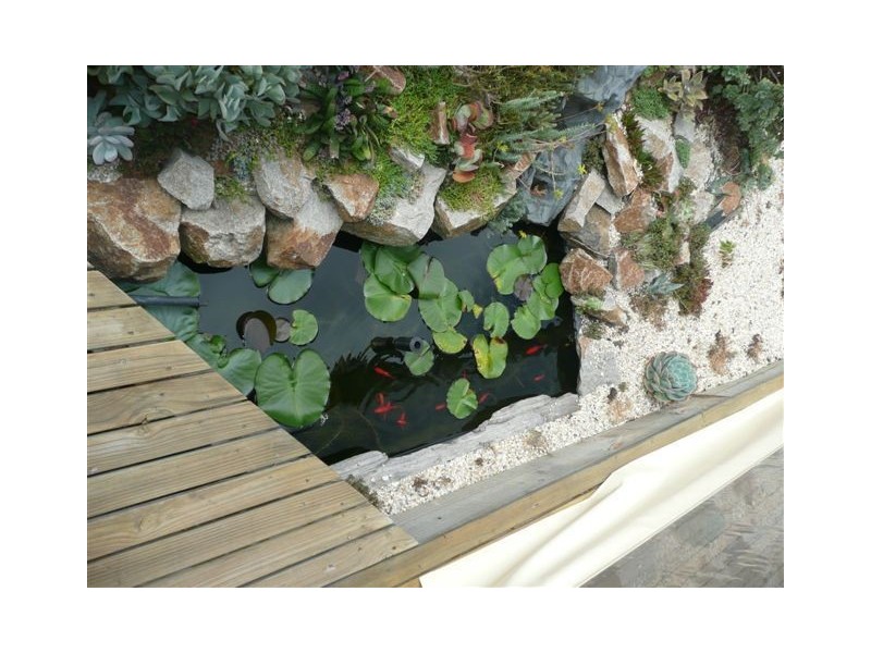 2 Sandra Court, Langwarrin VIC 3910