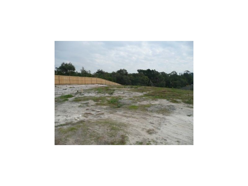 12 Guava Court, Langwarrin VIC 3910