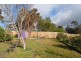 66 Beech Street, Langwarrin VIC 3910
