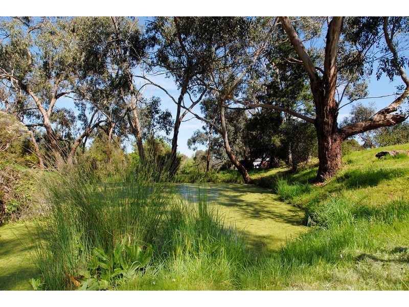 310 North Road, Langwarrin VIC 3910