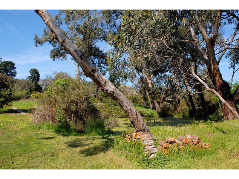 310 North Road, Langwarrin VIC 3910