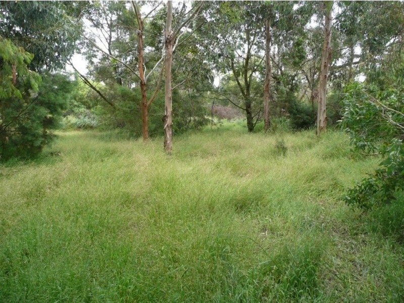 Lot 1/135 West Rd, Langwarrin VIC 3910