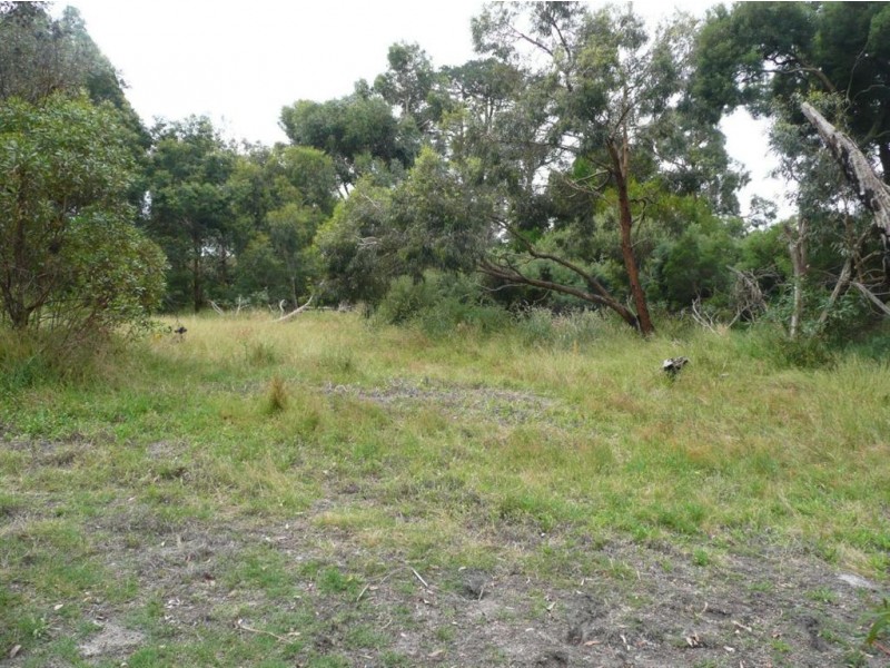 Lot 1/135 West Rd, Langwarrin VIC 3910