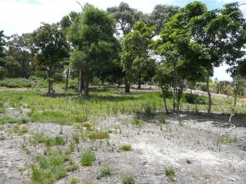 2 Birdswood Court, Langwarrin VIC 3910