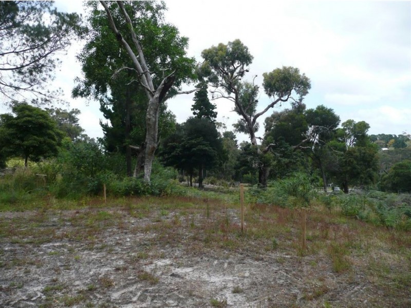 2 Birdswood Court, Langwarrin VIC 3910