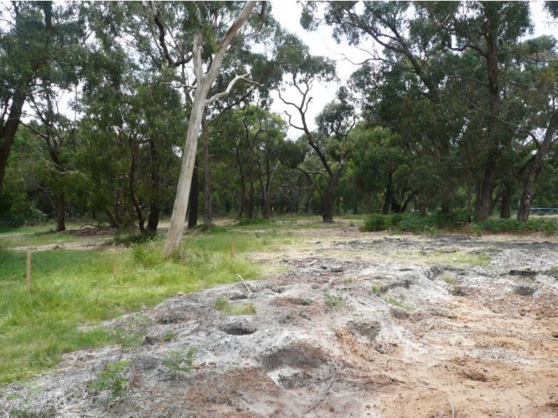 2 Birdswood Court, Langwarrin VIC 3910