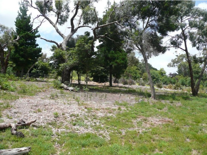 2 Birdswood Court, Langwarrin VIC 3910