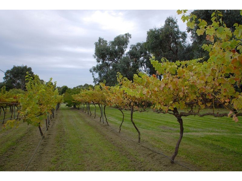 26-28 Nirvana Close, Langwarrin South VIC 3911