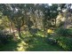 135 West Road, Langwarrin South VIC 3911