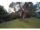 69 Donald Road, Langwarrin VIC 3910