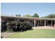 14 Pellita Way, Langwarrin VIC 3910