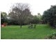 15 Lloyd Street, Langwarrin VIC 3910