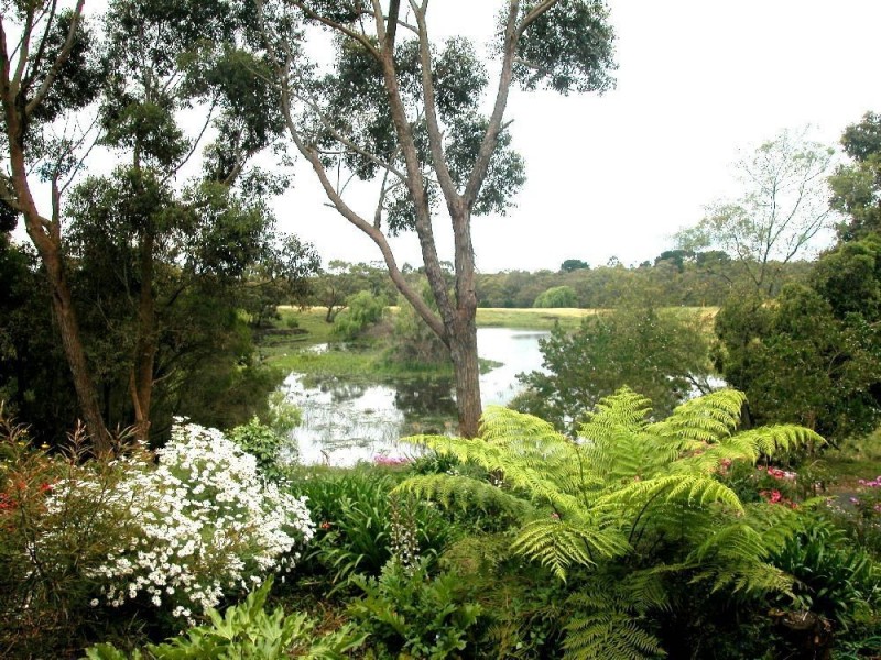 7 Homestead Road, Langwarrin VIC 3910